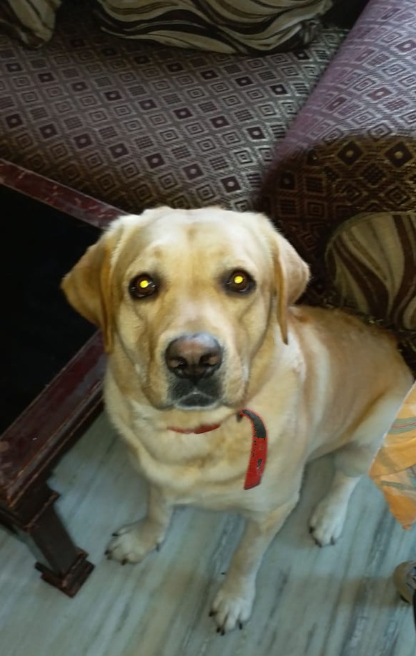 Oscar — Chairman, House of Oscar